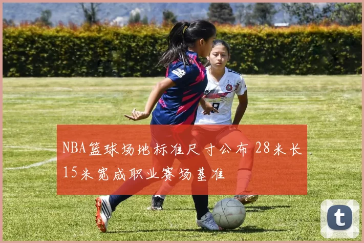NBA篮球场地标准尺寸公布 28米长15米宽成职业赛场基准