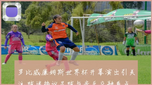 罗比威廉姆斯世界杯开幕演出引关注 球迷热议足球与音乐交融看点