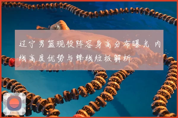 辽宁男篮现役阵容身高分布曝光 内线高度优势与锋线短板解析