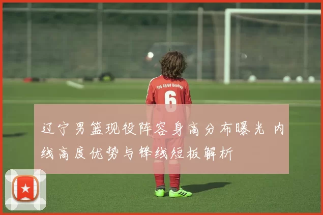 辽宁男篮现役阵容身高分布曝光 内线高度优势与锋线短板解析